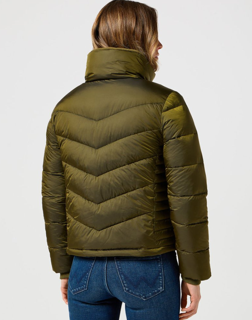Blouson - Vert Femme